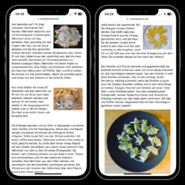 Two smartphones displaying a German-language recipe website (